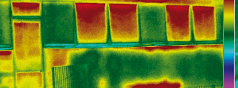 Bild Wärmebild Thermografie